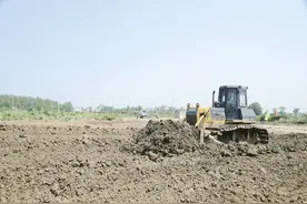 天门市岳口镇：废弃坑塘变耕地图片