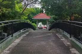 纪录片摄影师露宿街头摄像机不翼而飞：已报警，盼归还图片