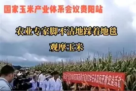 “专家踩地毯进农田”：暴露骄奢轻浮之气丨时评图片