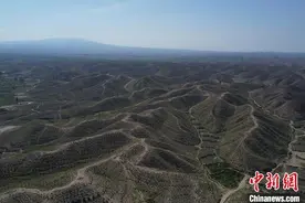 甘肃平川“地下挖煤，地上储碳”：储备林盘活“双碳经济”图片