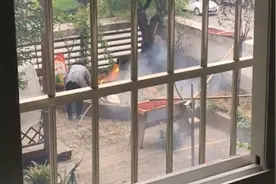 鸡你太吵！小区养鸡扰民考验城市治理水平图片