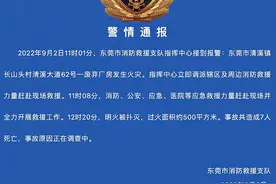 广东东莞一废弃厂房发生火灾，致7人死亡图片