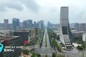 今天 和我在安静的成都街头“走一走”图片