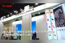 颜值+人气！江苏40家博物馆惊艳“博博会”图片