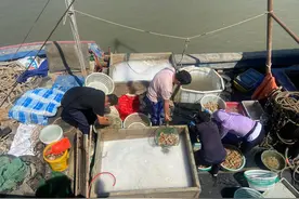 首捕归来 鱼蟹满舱 滨城渔民喜获丰收图片