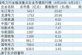 大唐发电重回电力行业总市值TOP10，内蒙古取消优惠电价政策｜电力周评榜图片