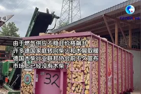 全球连线｜燃木取暖、露营省电——欧洲陷入能源窘境图片