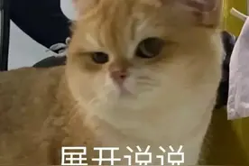 「健康」上完厕所别着急冲，看看你的粑粑是否健康图片