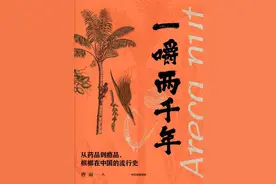 从药品到瘾品，槟榔在中国的流行史图片