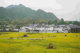 河北易县：党建引领促发展 乡村振兴展新颜图片