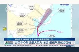 超强台风“轩岚诺”北上 华东沿海局地风雨大作 今早6时“轩岚诺”位于舟山朱家尖东偏南方向海面上