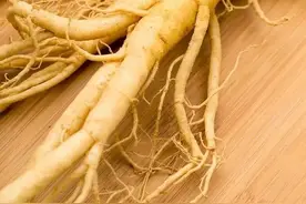 不同种类的参，养生功效各不相同图片