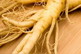 不同种类的参，养生功效各不相同图片