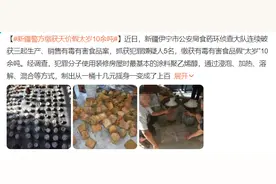 警方缴获天价假“太岁”十余吨，“肉灵芝？”“太岁？”醋缸里长出来的“肉”能吃吗？图片