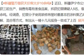 警方缴获天价假“太岁”十余吨，“肉灵芝？”“太岁？”醋缸里长出来的“肉”能吃吗？图片