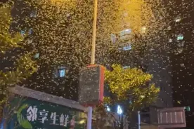 湖南沅江辟谣“蜉蝣大量聚集系自然灾害前兆”：属于正常现象图片