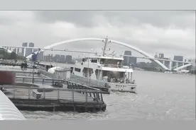 部分地点开放垂钓！上海黄浦江边可以钓鱼了图片