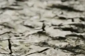 安徽多地未来十天无有效降水 旱情将进一步发展图片