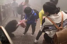 九华山野猴咬伤游客，景区：这季节猴子比较暴躁，可报销疫苗费用图片