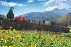 淅川：科学绿化 绿了山川富了民图片