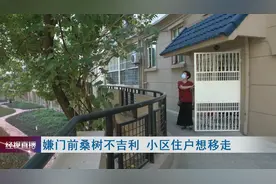 嫌谐音“丧”不吉利，居民提出移走小区两棵桑树图片