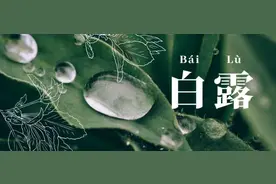 白露为何叫“白”露？图片