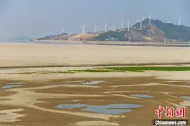 直击鄱阳湖罕见“汛期反枯”：湖区大幅“瘦身”元宝枫滴灌“解渴”图片