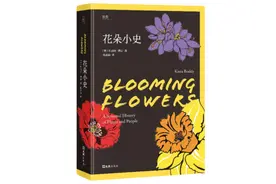 恋人约会，为什么总是送玫瑰花？图片