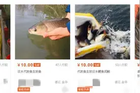 放生一只甲鱼收18888元？当“福报”成为生意图片