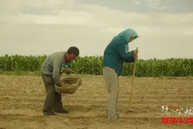 票房破亿，“慢一拍”走红的《隐入尘烟》图片