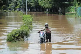 CEO开着拖拉机上班，印度“硅谷”班加罗尔遭遇暴雨袭击图片