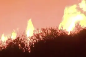 美国加州山火肆虐！极端高温干旱下 电力也告急图片