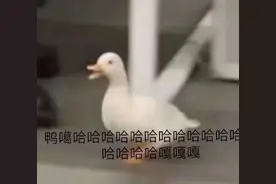 成都超全买菜攻略来了！内有29个买菜渠道图片