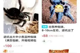 外来“另类宠物”销售火爆，电商用空白快递单保密发货图片