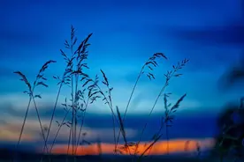 社交恐惧症自我治疗！四方法摆脱社恐图片