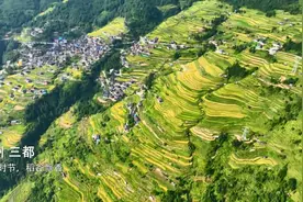 云端看丰收│三都：万亩梯田迎来丰收季图片