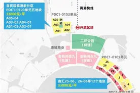 临港新房炙手可热，售楼处排队看房，二手房却是不温不火图片