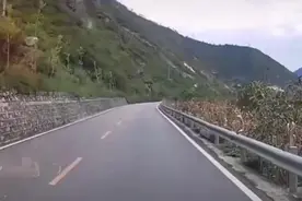 行车记录仪拍下惊险一幕：地震时山上巨石滚落砸下 司机倒车逃生图片