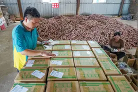 网络强国｜从一张快递面单 感受信息保护“硬拳头”图片