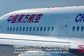 马慧心：载着9名中国援意医疗专家和31吨防疫物资的航班，最难忘！| 老外讲故事·海外员工看中国④图片