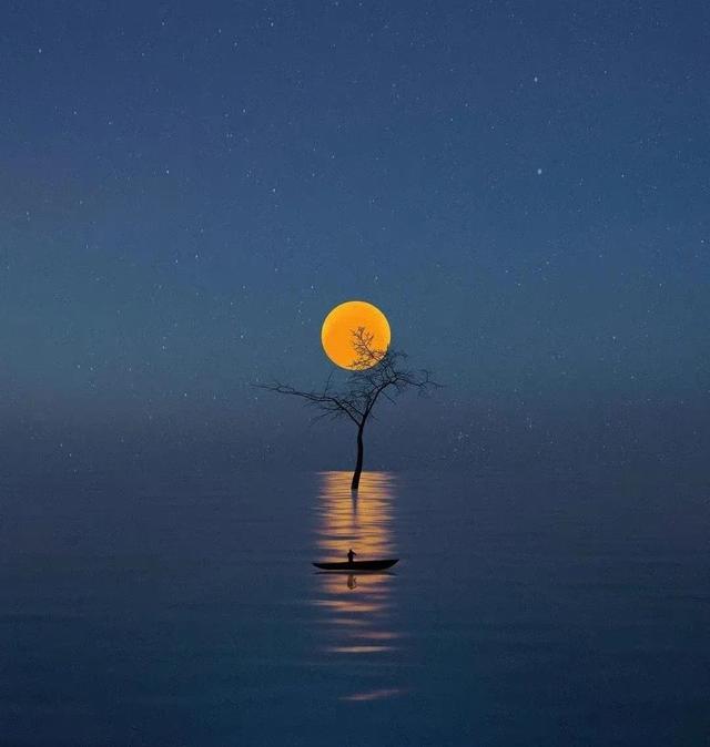 ���������Ȧ�İ���ֻ���¹����ɼ�