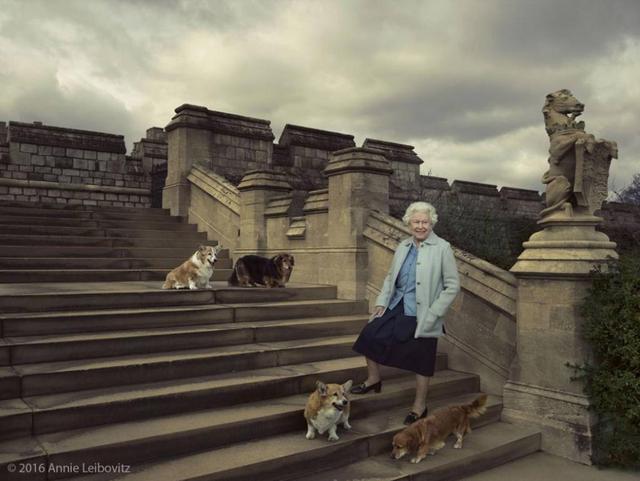 英国女王与她的柯基们：狗陪伴她走完人生旅程