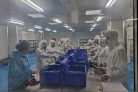 员工食堂转战风口赛道，武汉这家预制菜企业产值增幅超80%图片
