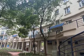 极目锐评｜“前不栽桑，后不栽柳”引发争议，不可取的民俗应该摒弃和破除图片