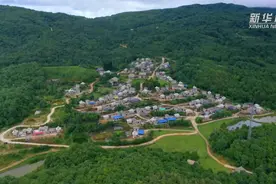 云南普洱：佤族同胞喜迎新米节图片