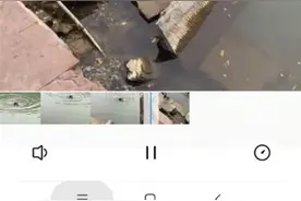 女子掉落凤凰古城河中，游泳协会副会长一分钟将她救起图片