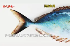 藏在鱼尾里的色彩美学，他“摸鱼”摸出了大片图片