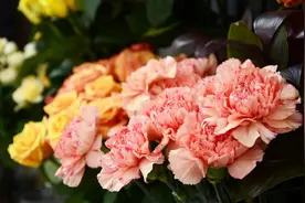 夜雨丨余璟：满江红·教师节（外一首）图片