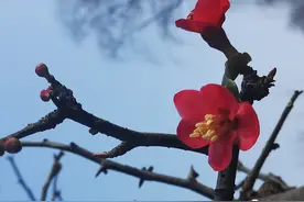 晚间悦读 | 说话的分寸，就是做人的尺寸图片