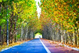 喜迎二十大 中原更出彩·大河奔腾｜郑州：打造“幸福河”浓墨出重彩图片